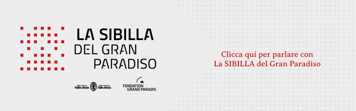 Banner_sibilla_1920x600_2.jpg