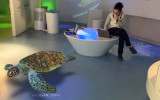 Animali 3D nei centri visitatori del Parco Nazionale Gran Paradiso