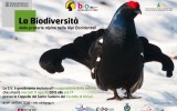 Invito - Mostra biodiversità