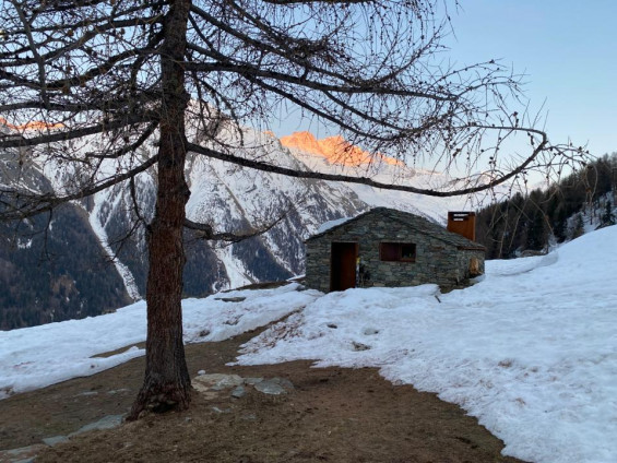 storie del carré natura parco nazionale gran paradiso video wildlife valsavarenche