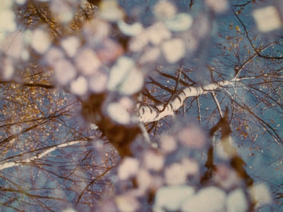 Foto di Louis Bochet - 1° premio Dans les yeux, dans les eaux - Archivio FGP