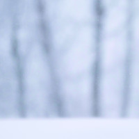 “Little boy” di Fabien Greban, 2° classificato