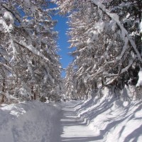 Nevicata Gran Paradiso - Archivio FGP