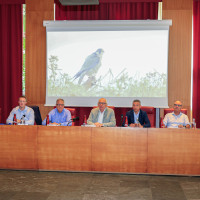 Conferenza stampa di lancio 29 GPFF