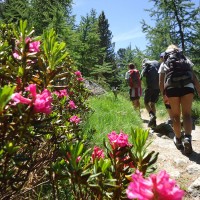 Giroparchi Nature Trail 2016