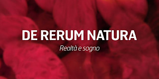 De Rerum Natura Cottarelli Cartabia Cingolani Amato Caroli