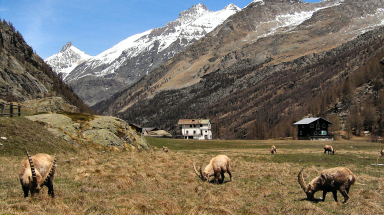 Valsavarenche - Pont - in centro la Grivola