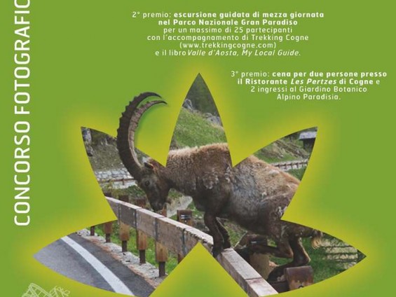 Locandina Concorso_Hors_du_commun