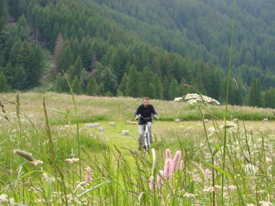Bicicletta - Foto Archivio FGP
