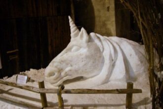 Magico unicorno - Foto Archivio FGP (1)