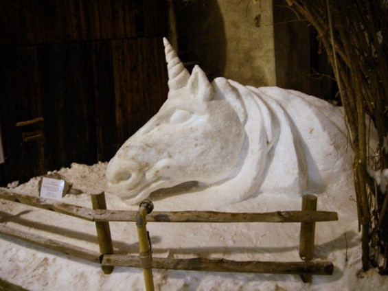 Magico unicorno - Foto Archivio FGP (1)