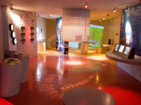 Centro visitatori Cogne_interno - Foto Archivio FGP