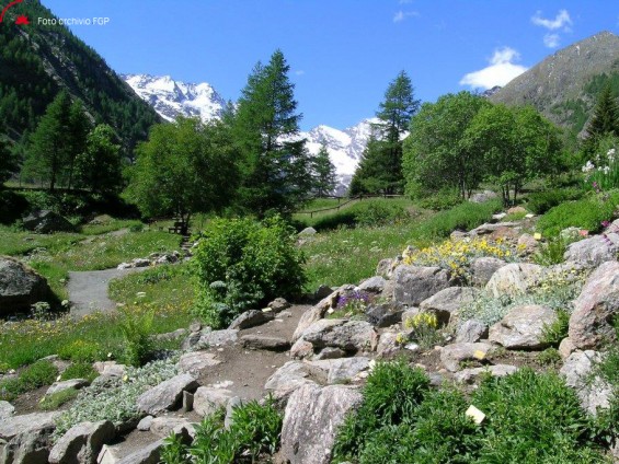 Giardino Botanico Alpino Paradisia -roccera -Foto Archivio FGP