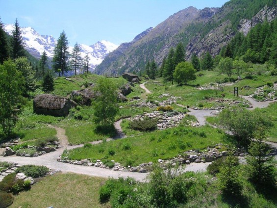 Paradisia_panorama - Foto Archivio FGP