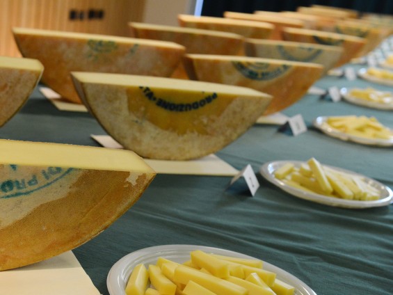 fontina-paolorey2