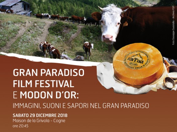 copertina-news-modondor