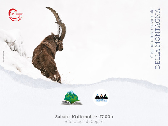 2022-11-30_Evento-leggere-le-montagne_Marcoaldi_5