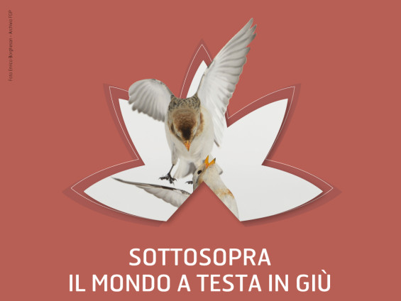 2024-01-29_Concorso-fotografico_Sottosopra_POST_1920x1080