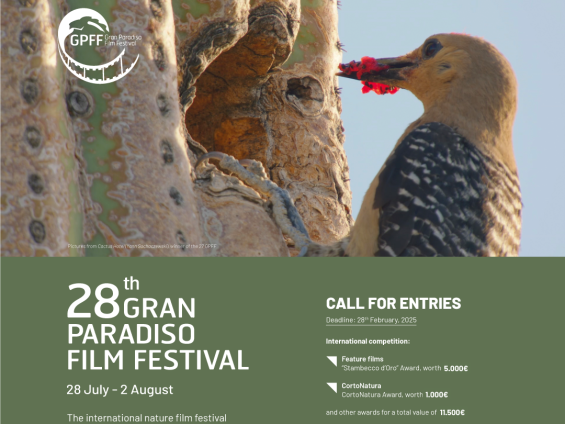 Call for entries 2025_post_agg
