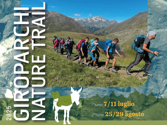 Bozza locandina GNT 25_14_04_page-0001