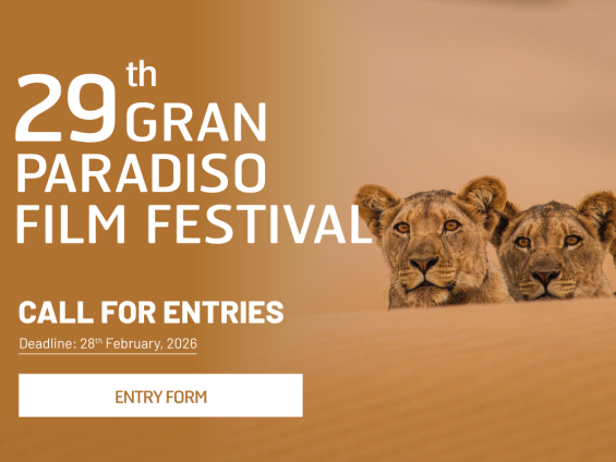 Call-for-entries_2026_banner