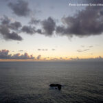 _Foto-Lorenzo-Scacchia---Archivio-FGP-ok