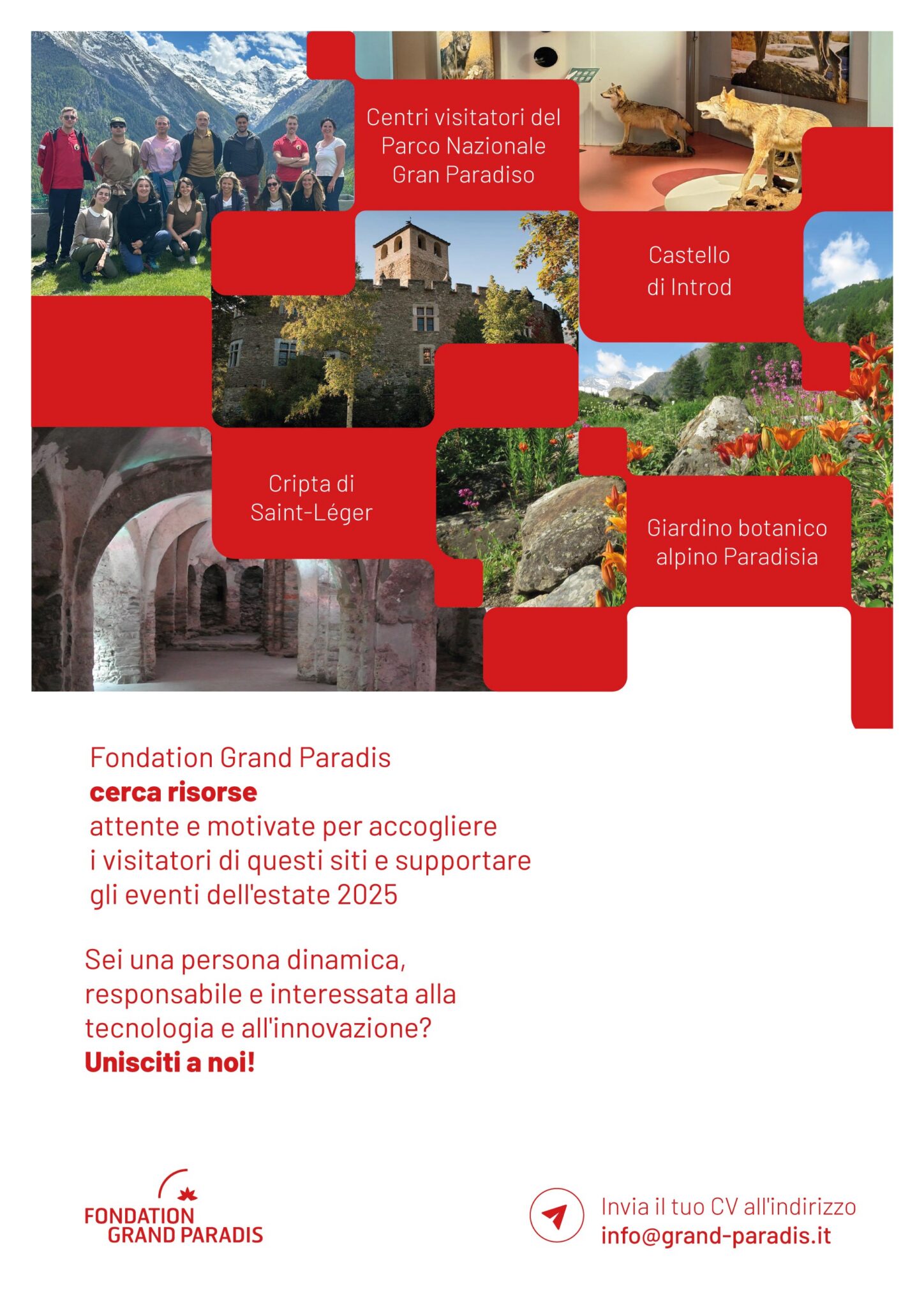 Locadina-ricerca-personale_DEF_0